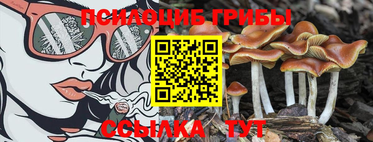 Златоуст  Галлюциногенные грибы Magic Shrooms  Вход с VPN  Галлюциногенные грибы GOLDEN TEACHER 